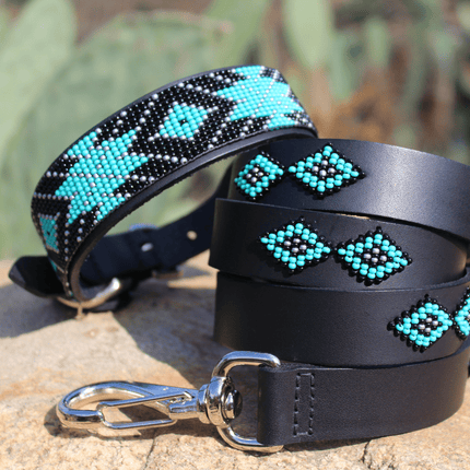 Matching leash/dog collar Saint Barth Sambboho Bundle