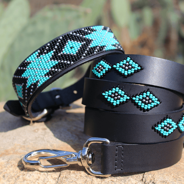 Matching leash/dog collar Saint Barth Sambboho Bundle