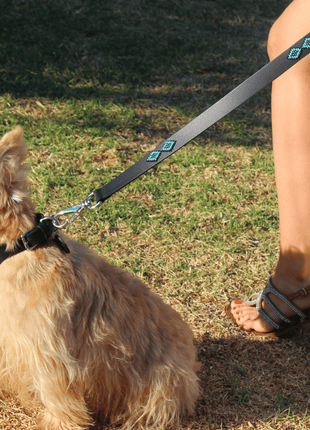 Matching leash/dog collar Saint Barth Sambboho Bundle
