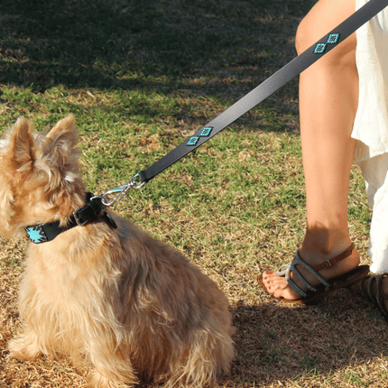 Matching leash/dog collar Saint Barth Sambboho Bundle