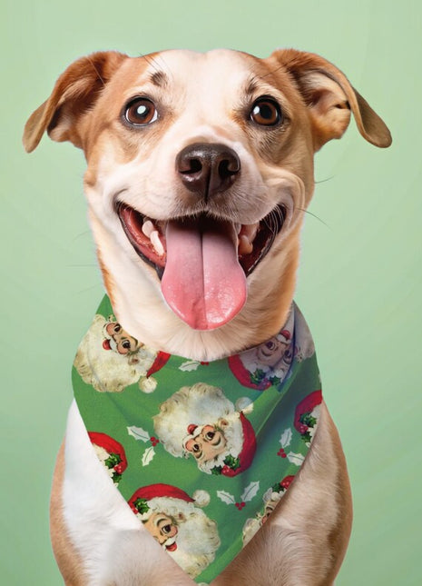 Vintage Santa Dog Bandana