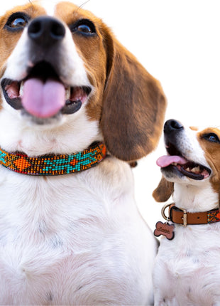 Sardinia Sambboho dog collar (Glam Collection)