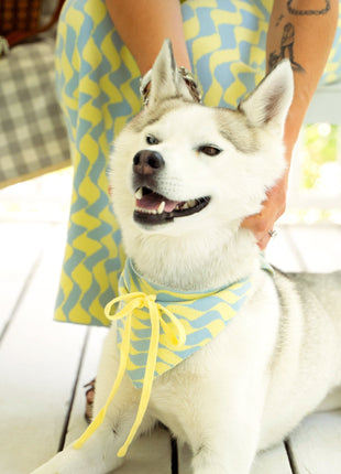 Seaside Swirl Cotton Knitted Dog Bandana - Pup List