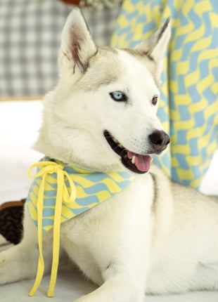 Seaside Swirl Cotton Knitted Dog Bandana - Pup List