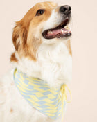 Seaside Swirl Cotton Knitted Dog Bandana - Pup List