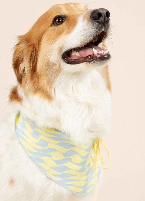 Seaside Swirl Cotton Knitted Dog Bandana - Pup List