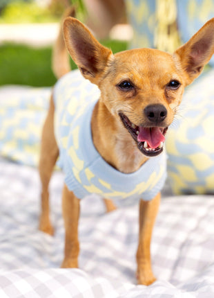 Seaside Swirl Cotton Knitted Dog Vest - Pup List