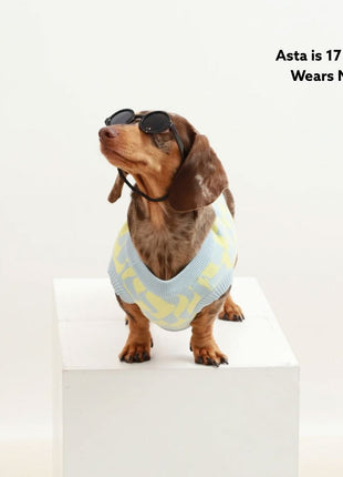Seaside Swirl Cotton Knitted Dog Vest - Pup List