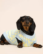 Seaside Swirl Cotton Knitted Dog Vest - Pup List
