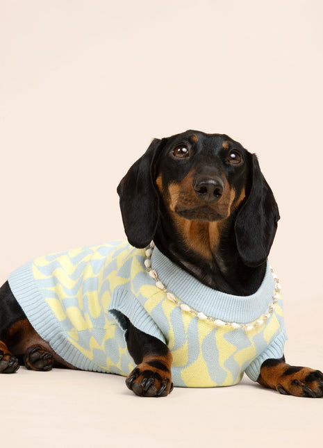 Seaside Swirl Cotton Knitted Dog Vest - Pup List