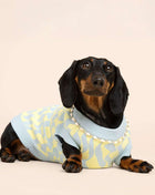Seaside Swirl Cotton Knitted Dog Vest