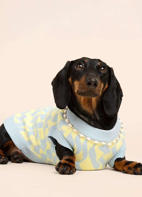 Seaside Swirl Cotton Knitted Dog Vest