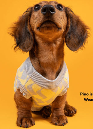 Seaside Swirl Cotton Knitted Dog Vest - Pup List