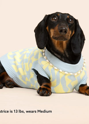 Seaside Swirl Cotton Knitted Dog Vest - Pup List
