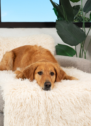 PupProtector™ Luxe Waterproof Bed Runner - Plush Sheep Ivory