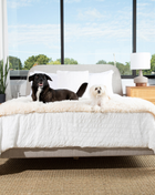 PupProtector™ Luxe Waterproof Bed Runner - Plush Sheep Ivory