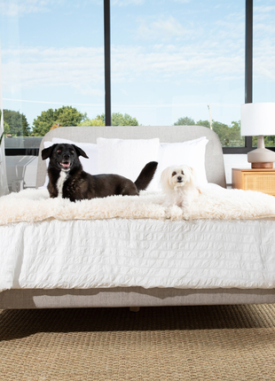 PupProtector™ Luxe Waterproof Bed Runner - Plush Sheep Ivory