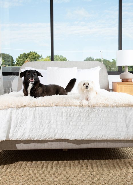 PupProtector™ Luxe Waterproof Bed Runner - Plush Sheep Ivory