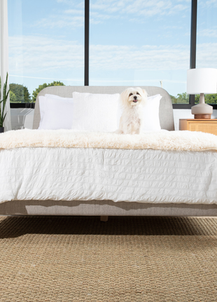 PupProtector™ Luxe Waterproof Bed Runner - Plush Sheep Ivory