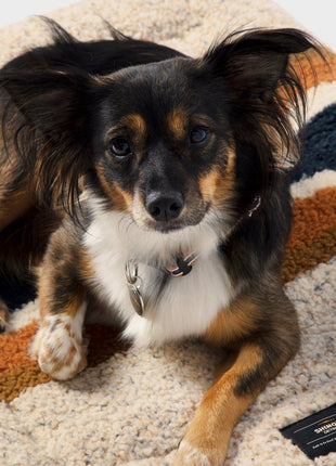 Shinola Brand Stripe Comfort Cushion Berber Dog Bed Oatmeal