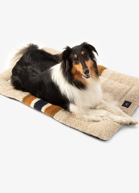 Shinola Brand Stripe Comfort Cushion Berber Dog Bed Oatmeal