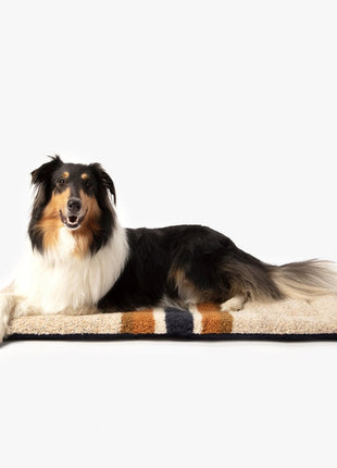 Shinola Brand Stripe Comfort Cushion Berber Dog Bed Oatmeal
