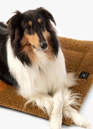 Shinola Brand Stripe Comfort Cushion Berber Dog Bed Rust