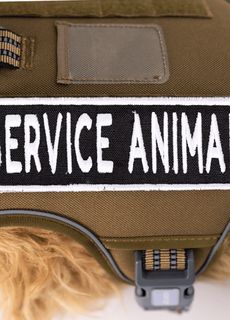 Service Animal 2x6 Patch
