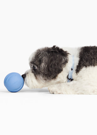 Signature Ball