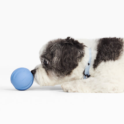 Signature Ball