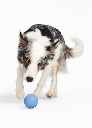 Signature Ball
