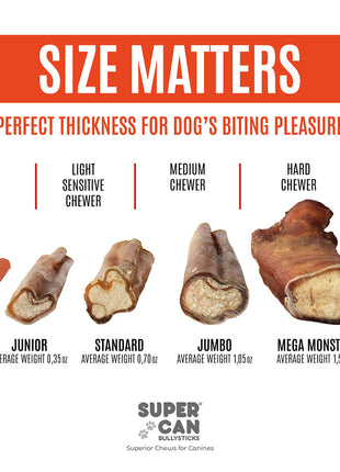 6" Jumbo Bully Sticks (10-Pack)