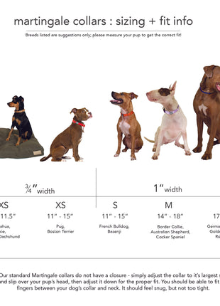 martingale collar / orange + lilac - Pup List