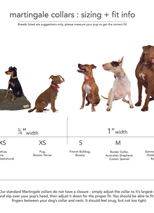 not-so-basic snap collar / leopard