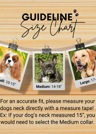 Bahamas dog collar (quick release)