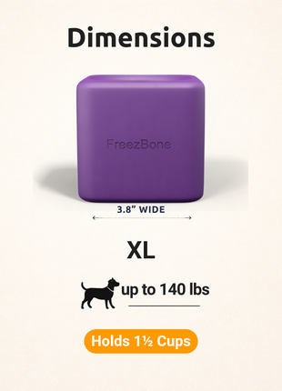 Freezbox - Super Tough Treat Toy