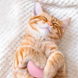Smart Cat Ball Catnip Interactive Chirping Balls for Cat Exercise