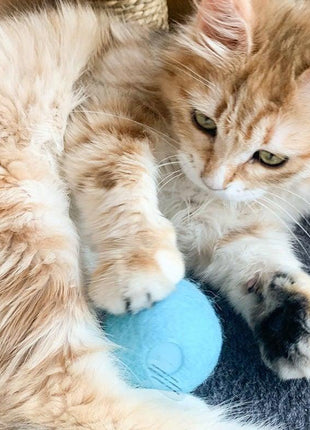 Smart Cat Ball Catnip Interactive Chirping Balls for Cat Exercise