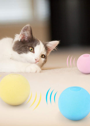 Smart Cat Ball Catnip Interactive Chirping Balls for Cat Exercise