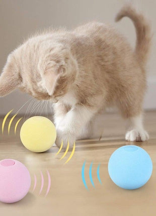 Smart Cat Ball Catnip Interactive Chirping Balls for Cat Exercise