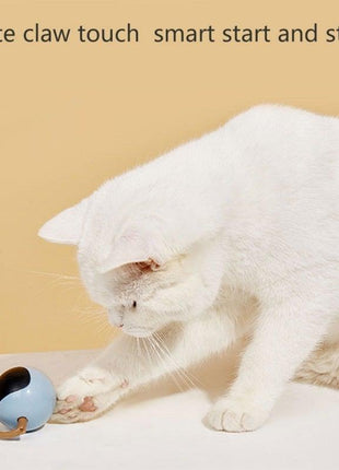 Smart Pet Toy USB Rechargeable Sports Ball Funny Chaser Roller Toy The Best Entertainment Exercise Gift For Smart Cat Toy Electric Jumping Ball Self Rotating Toys Rolling Jumping Ball  For Cats