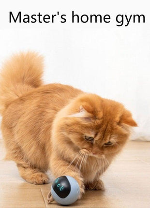 Smart Pet Toy USB Rechargeable Sports Ball Funny Chaser Roller Toy The Best Entertainment Exercise Gift For Smart Cat Toy Electric Jumping Ball Self Rotating Toys Rolling Jumping Ball  For Cats
