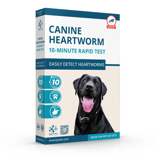 Canine Heartworm 10-Minute Rapid Test: At-Home Testing
