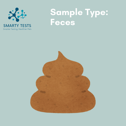 Canine Parvovirus (Parvo) 10-Minute Rapid Test: At-Home Testing