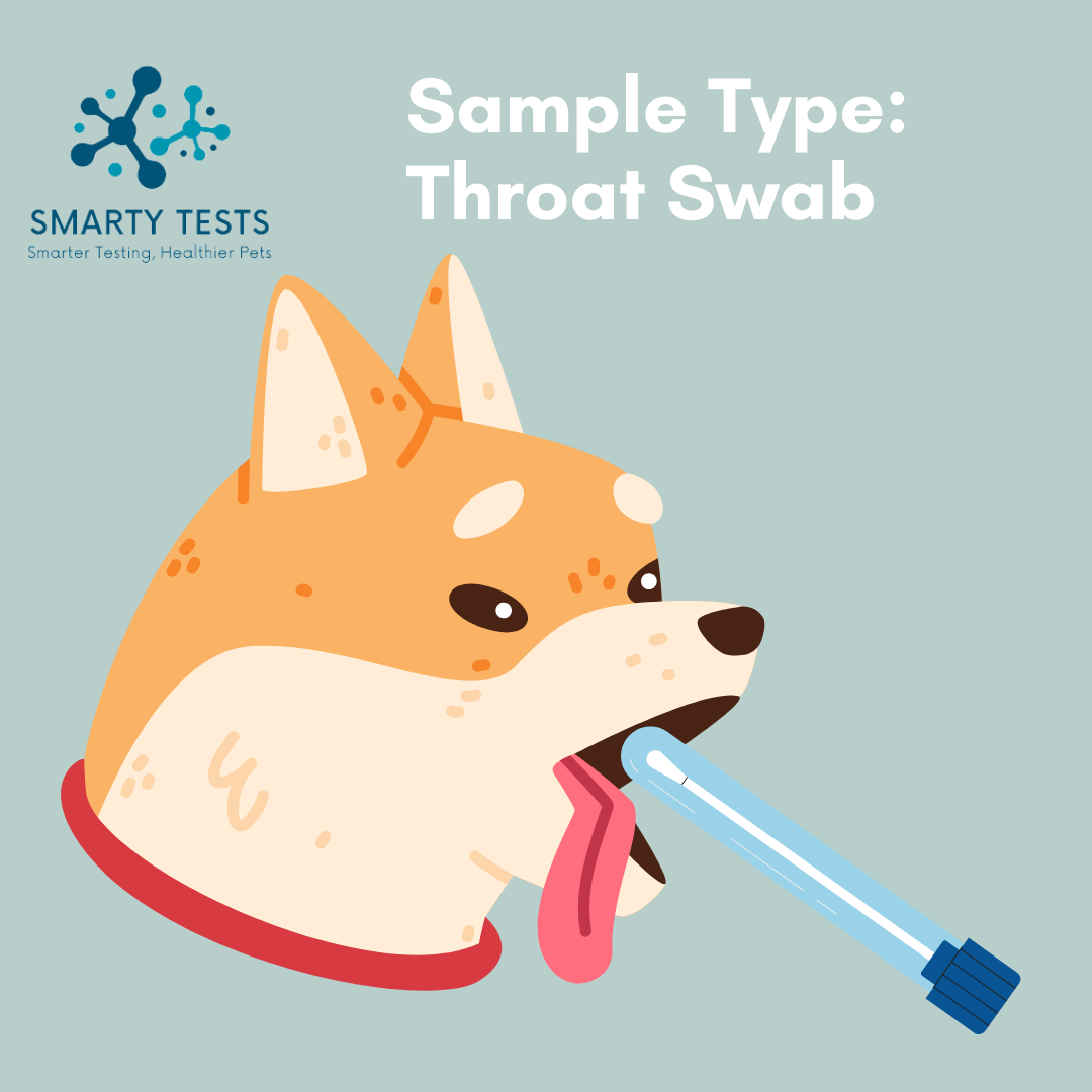 Respiratory Infection Screen for Dogs 10-Minute Rapid Test (Dog Coughing Test): At-Home Testing