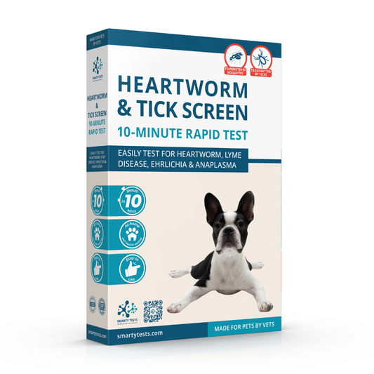 Heartworm & Tick Screen for Dogs 10 Min Rapid Test: At-Home Testing