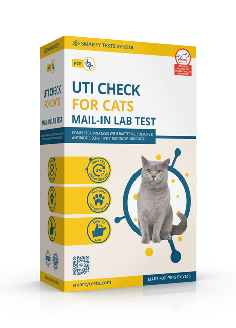 Urinary Tract Infection BioScreen & Culture for Cats: At-Home Testing