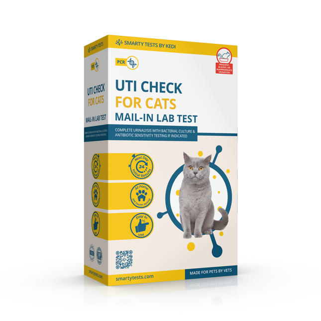 Urinary Tract Infection BioScreen & Culture for Cats: At-Home Testing