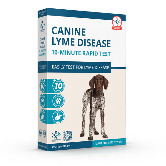 Canine Lyme Disease 10-Minute Rapid Test: At-Home Testing