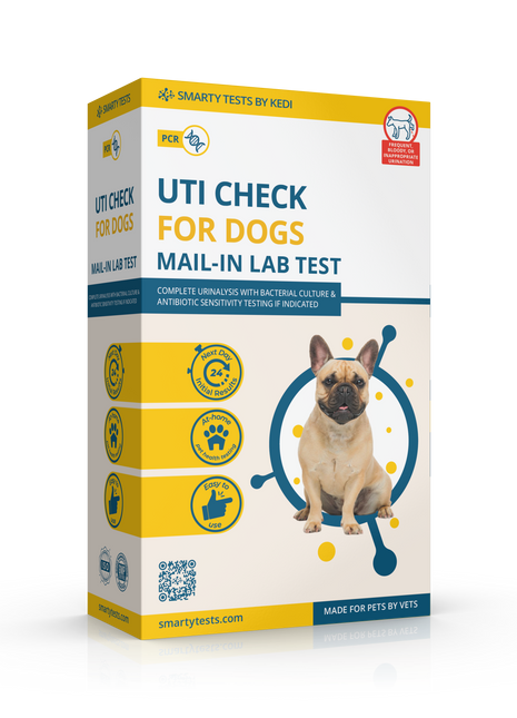 Urinary Tract Infection BioScreen & Culture for Dogs: At-Home Testing